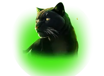 Panther